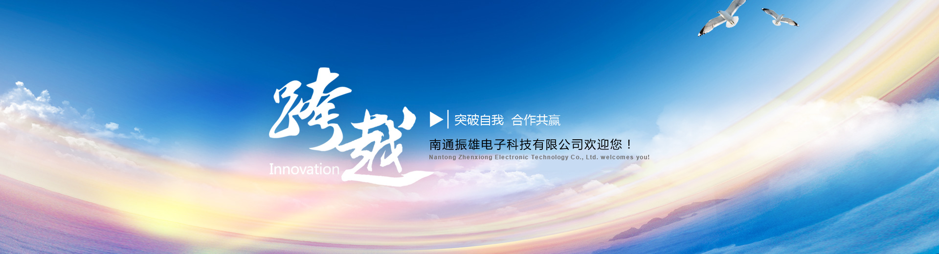 振雄电子